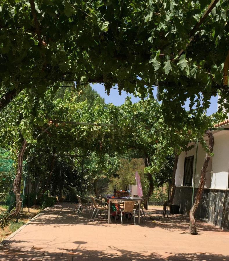 Casa De Ines Villa Alhama de Granada Luaran gambar
